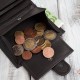 Pánská klasická kožená vertikální hnědá peněženka s RFID Paolo Peruzzi AL-18-BR